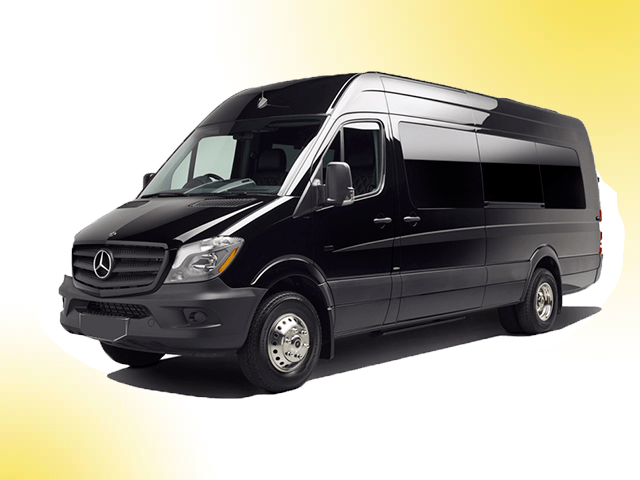 Gojo VIP 8